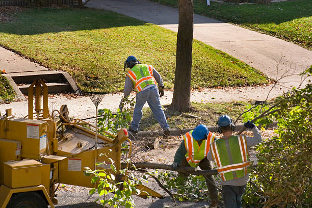 Best Firewood Processing and Delivery  in Brooklyn, WI