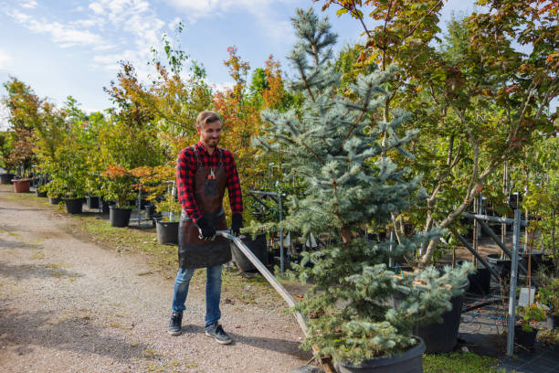 Best Tree Maintenance Programs  in Brooklyn, WI